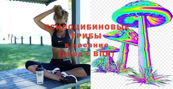 СК Алексин