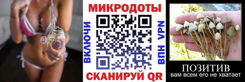Купить закладки  Южноуральск  Галлюциногенные грибы прущие грибы 